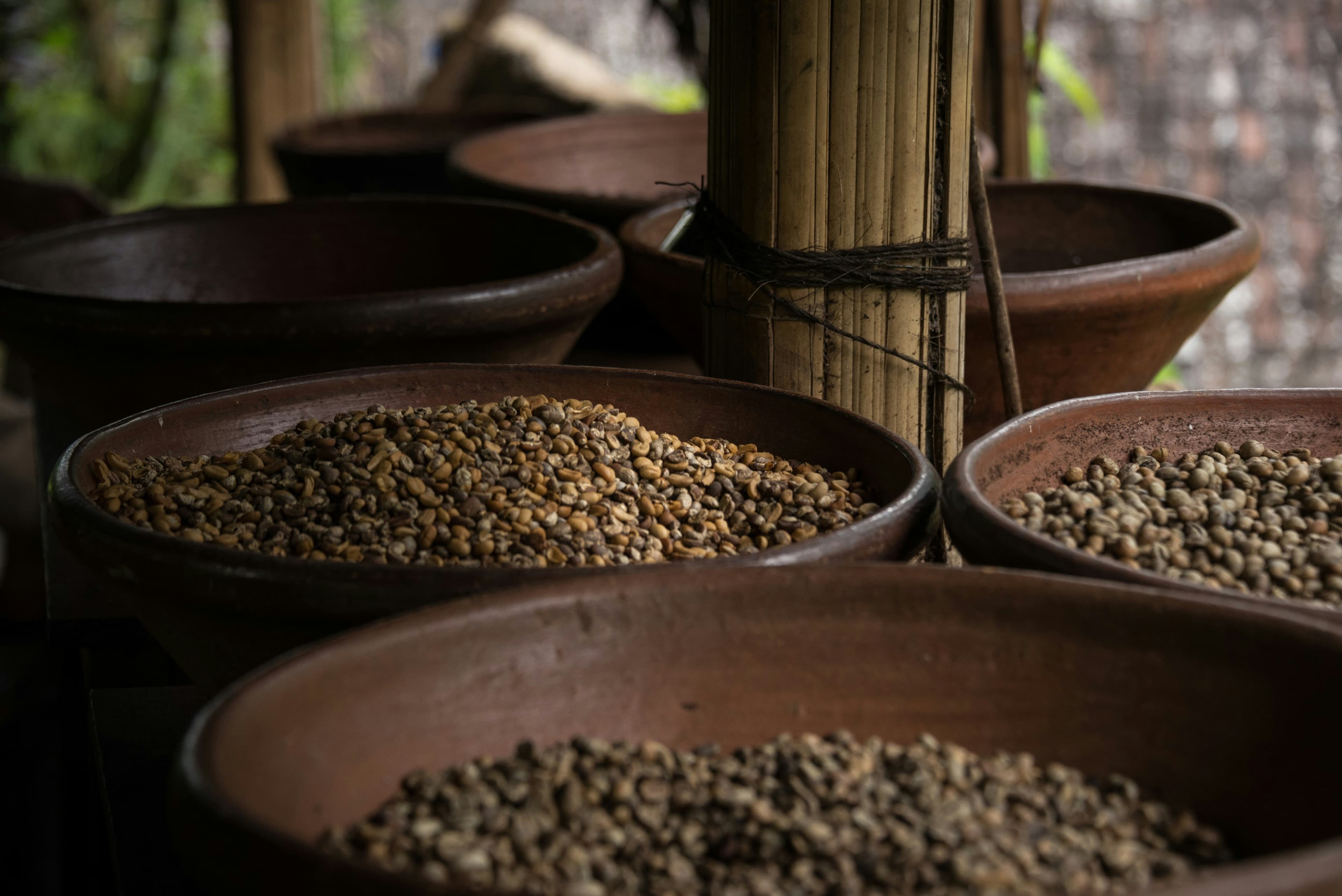 The Difference Between Colombian, Brazilian, Yemeni, and Ethiopian Coffee